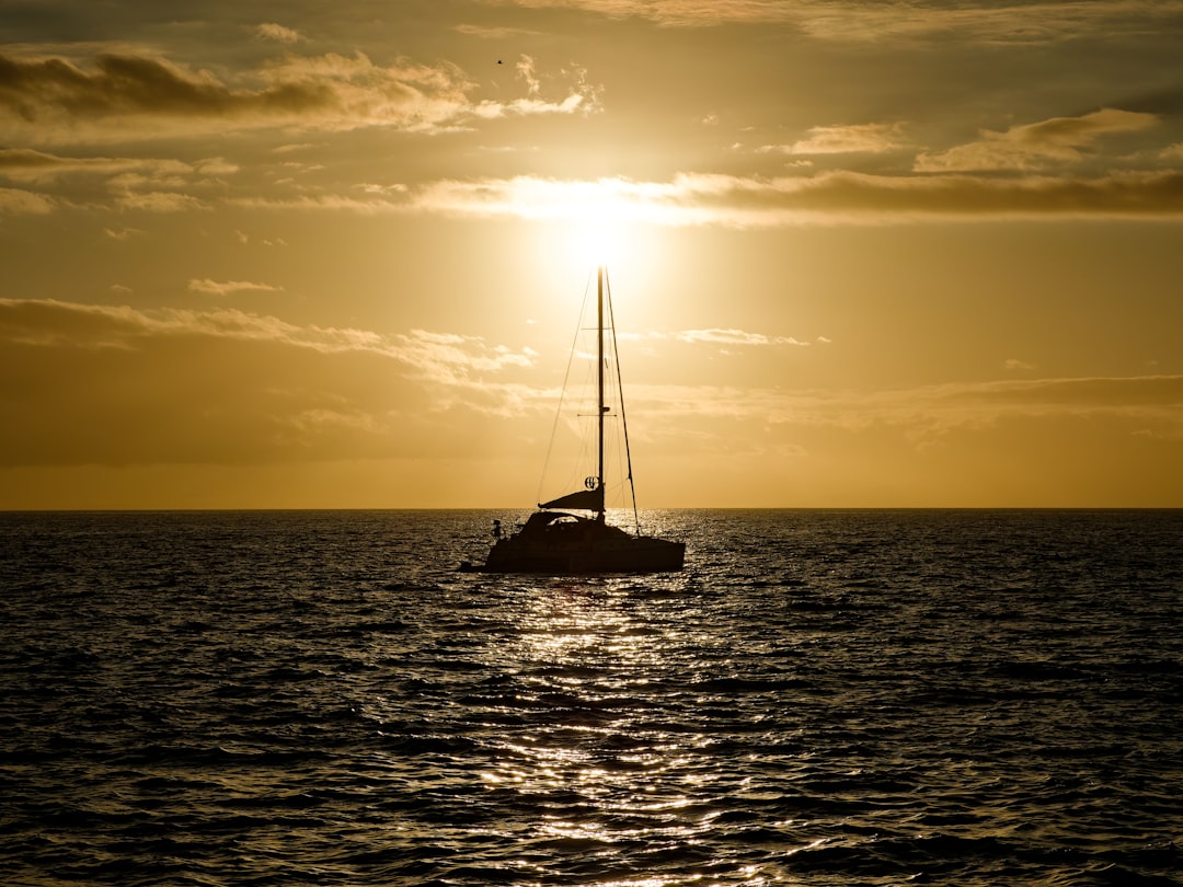 Bir kişi özgürlük kavramını düşünürken yatakta düşünceli ve huzurlu bir an yaşıyor