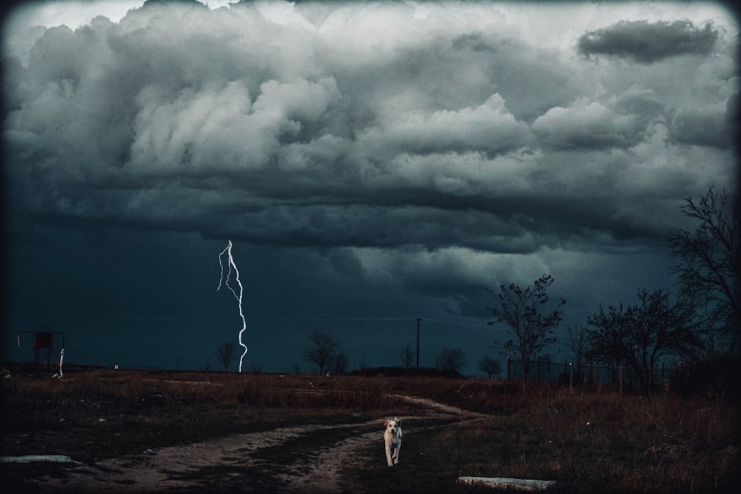 Birinin rüyasında fırtına gördüğü anı tasvir eden görsel