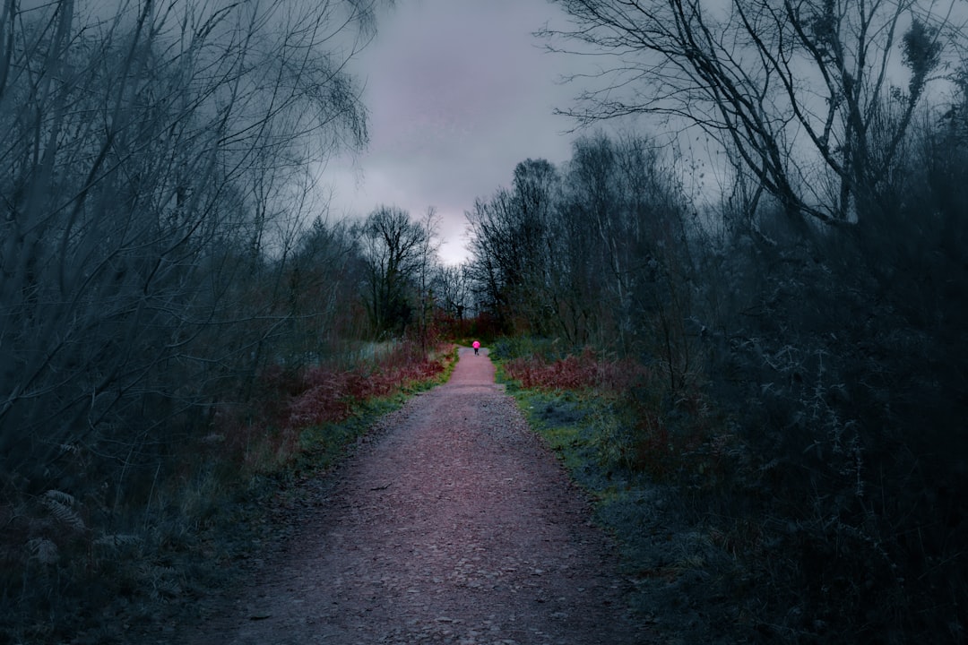 Karanlıkta yol arayan birinin rüya görseli