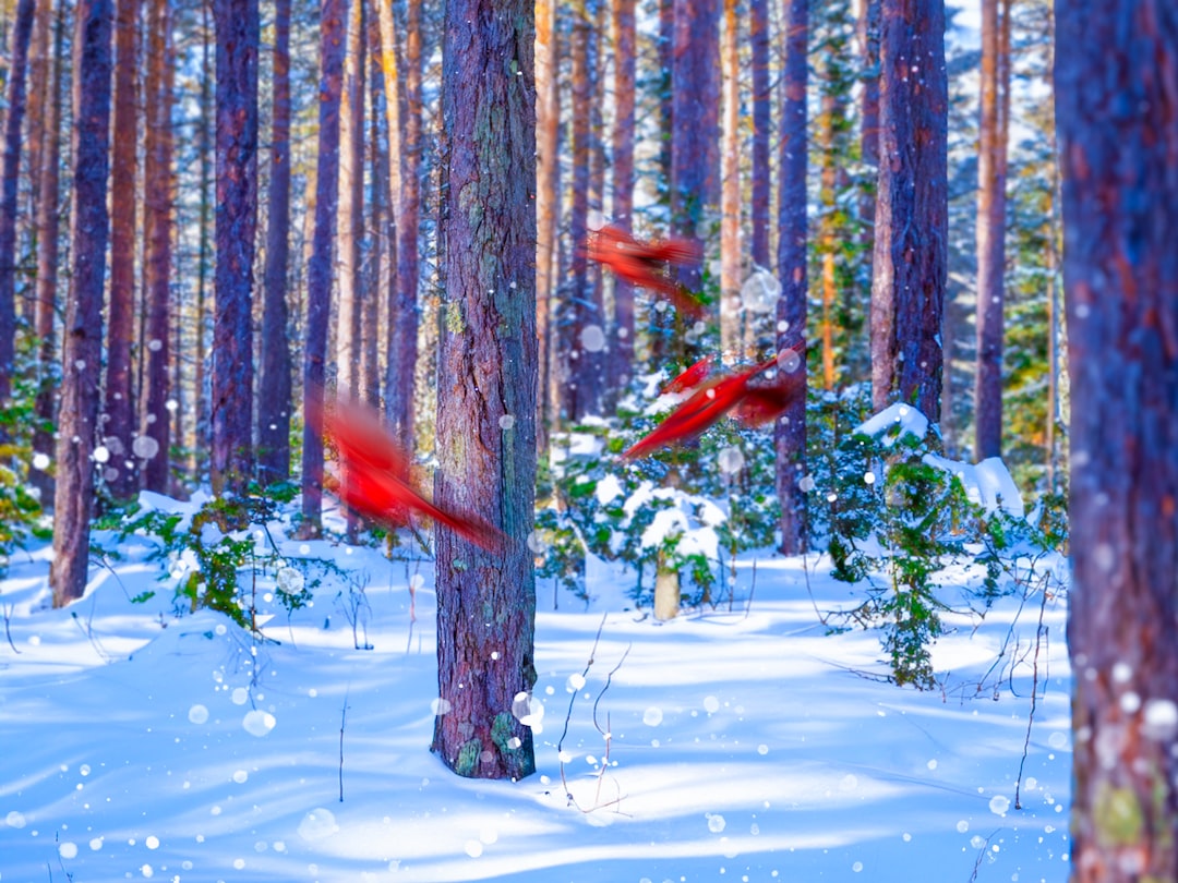 Mevsim değişimini gösteren rüya simgeleriyle dolu bir sahne