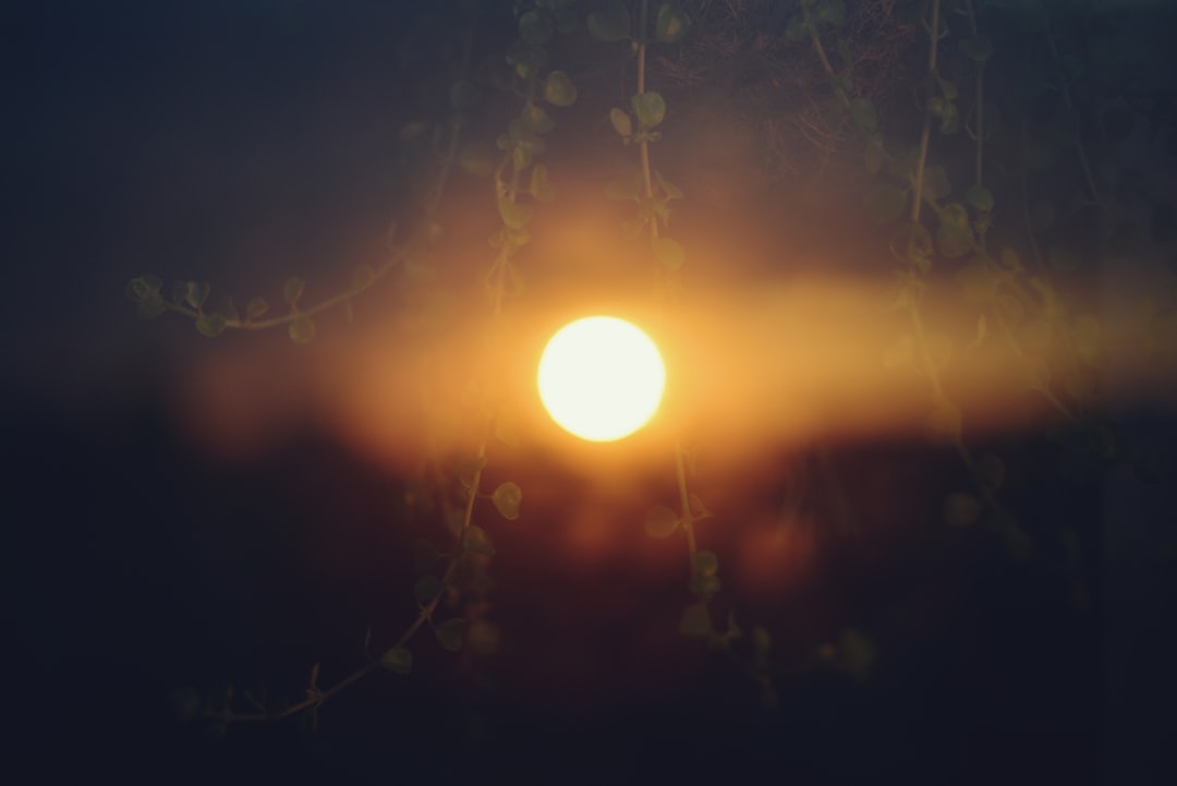 Rüyada Güneş Görmek Ne Anlama Gelir: Tabirler ve İpuçları