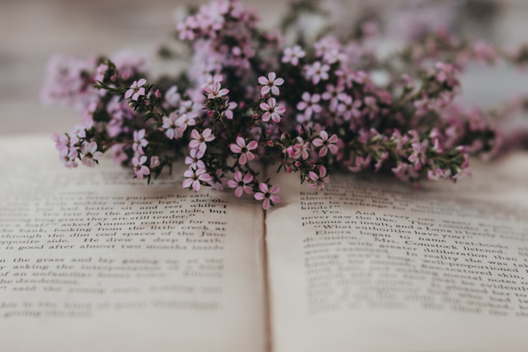 Rüyada Mektup Görmek Ne Anlama Gelir: Tabirler ve Bağlamlar