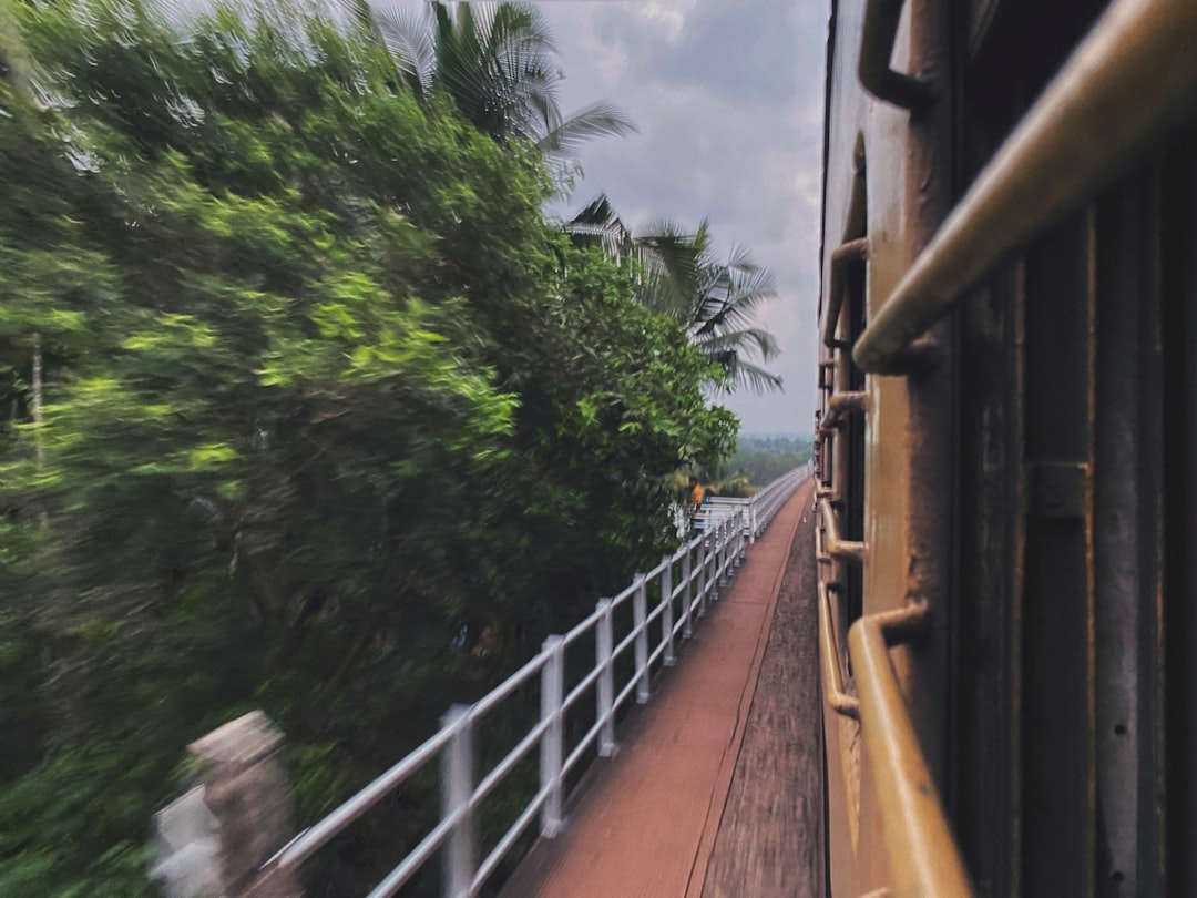 Rüyada Tren Görmek: Yolculuk Temaları ve İçsel Hedefler