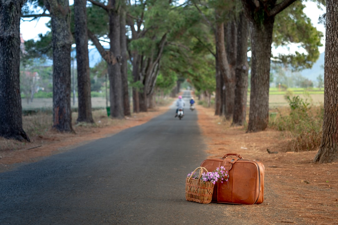 Rüyada Valiz Görmek: Yolculuk ve Değişim Tabirleri