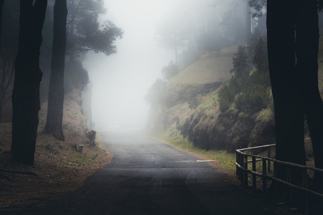 Rüyada Yol Görmek Ne Anlama Gelir
