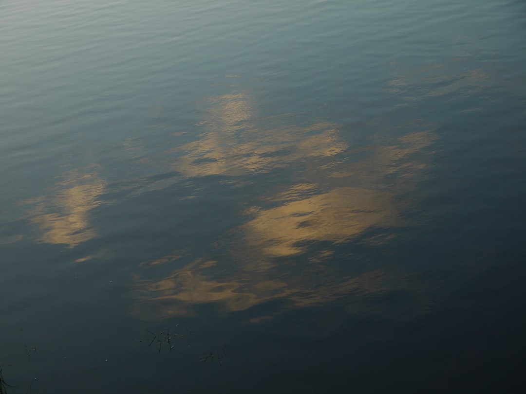 Rüyada göl görmek ne anlama gelir: Sembolizm ve bağlamlar