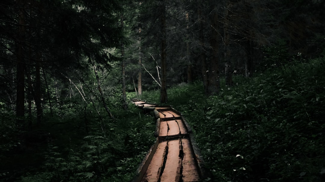 Rüyasında iki yol arasından karar vermeye çalışan kişinin görseli