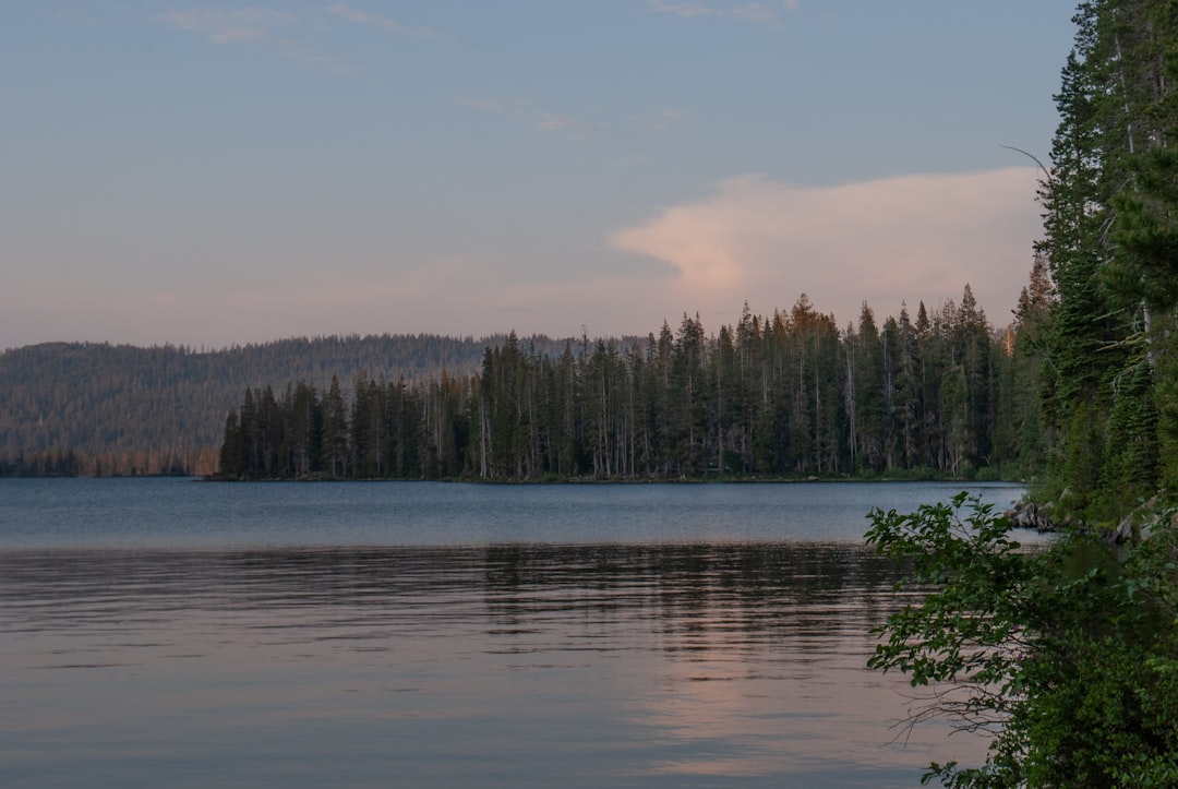 Sakin bir göl manzarası ve su yüzeyindeki yansıma