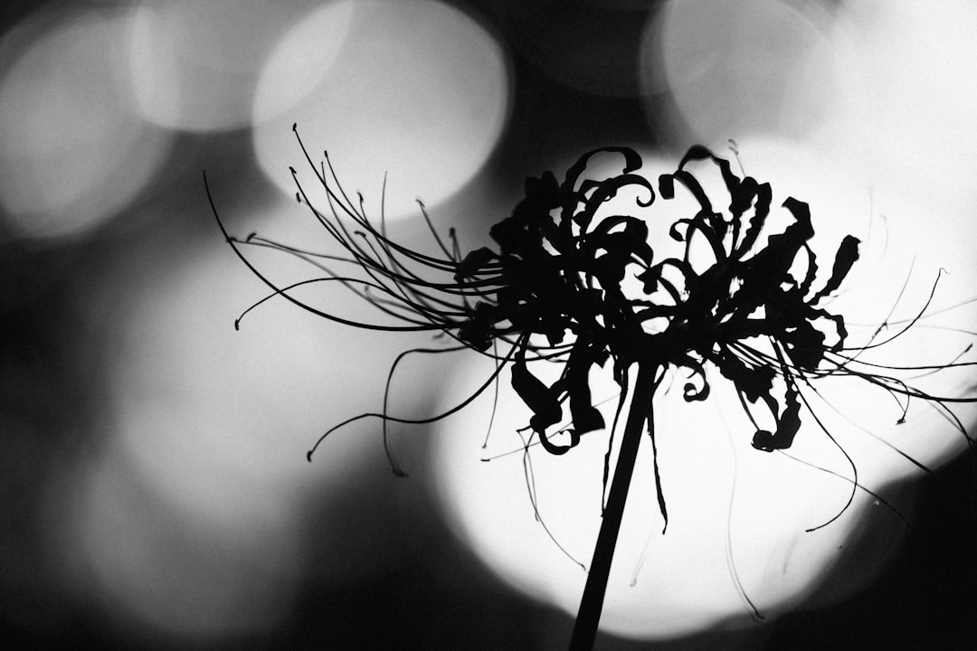 Bir kişinin rüyasında hamilelik sembollerini düşündüğü sahne