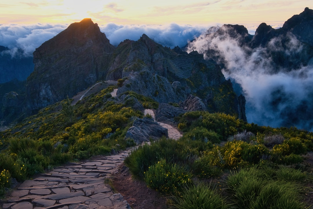 Rüya temasını görsel olarak yansıtan dağ yolu ve zirveye doğru ilerleyen yolculuk sahnesi