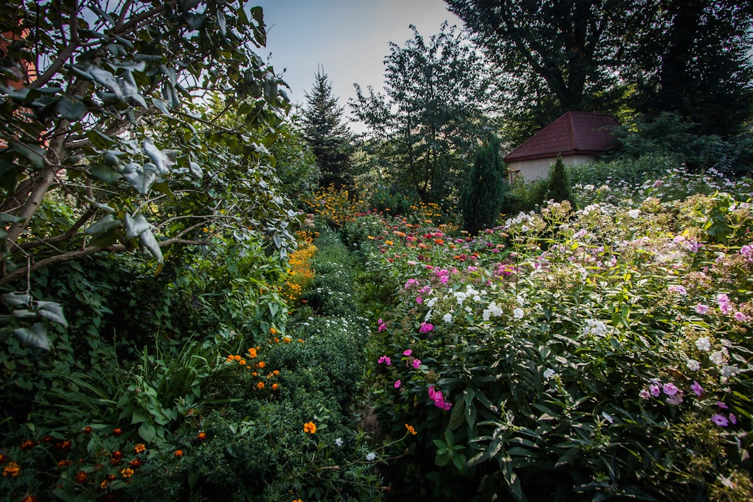 Rüyada Bahçe Görmek Ne Anlama Gelir: İçsel Bahçe Tabirleri