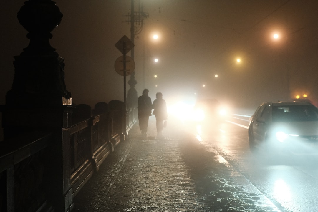 Sisli yolda ilerleyen araç ve bulanık manzarayı gösteren görsel