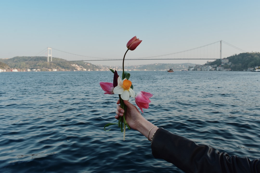 Çiçek Tohumları Rüyası: Ne Anlama Gelir?