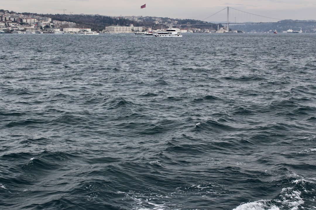 Denizkabuğu Rüyası Anlamı: İçsel Zenginlik ve Sınırlar