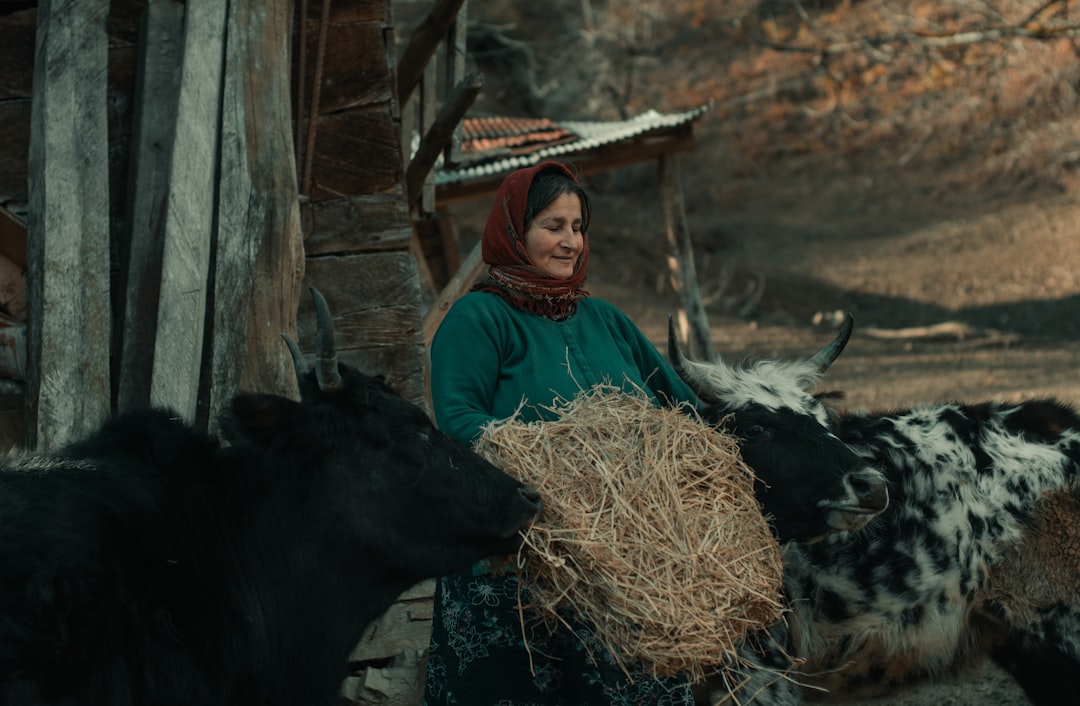 Rüyada İnek Görmek: Semboller, Bağlamlar ve Günlük Yaşam Tabirleri
