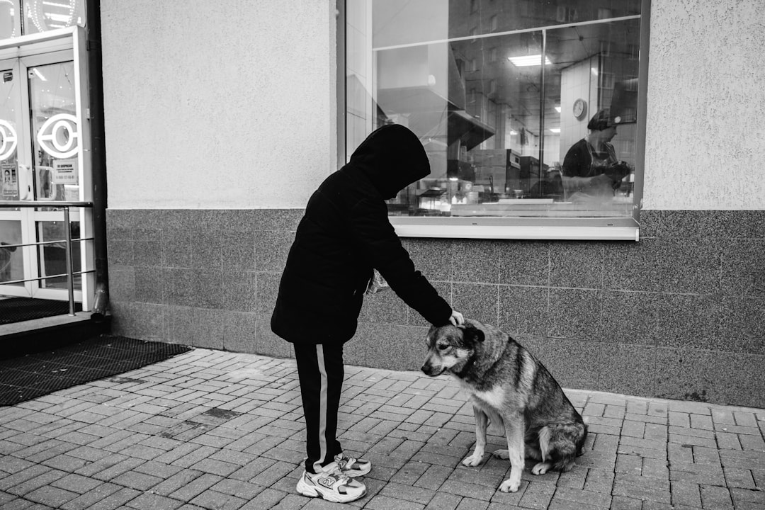 Rüyada Köpekler Konuşmak: Rüya Tabirleri ve İletişim Sembolleri