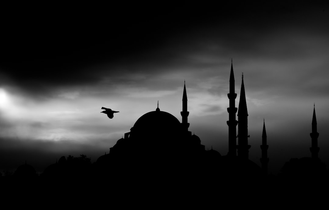 Rüyada Kaplumbağa Görmek: Sabır ve Dayanıklılık Tabirleri