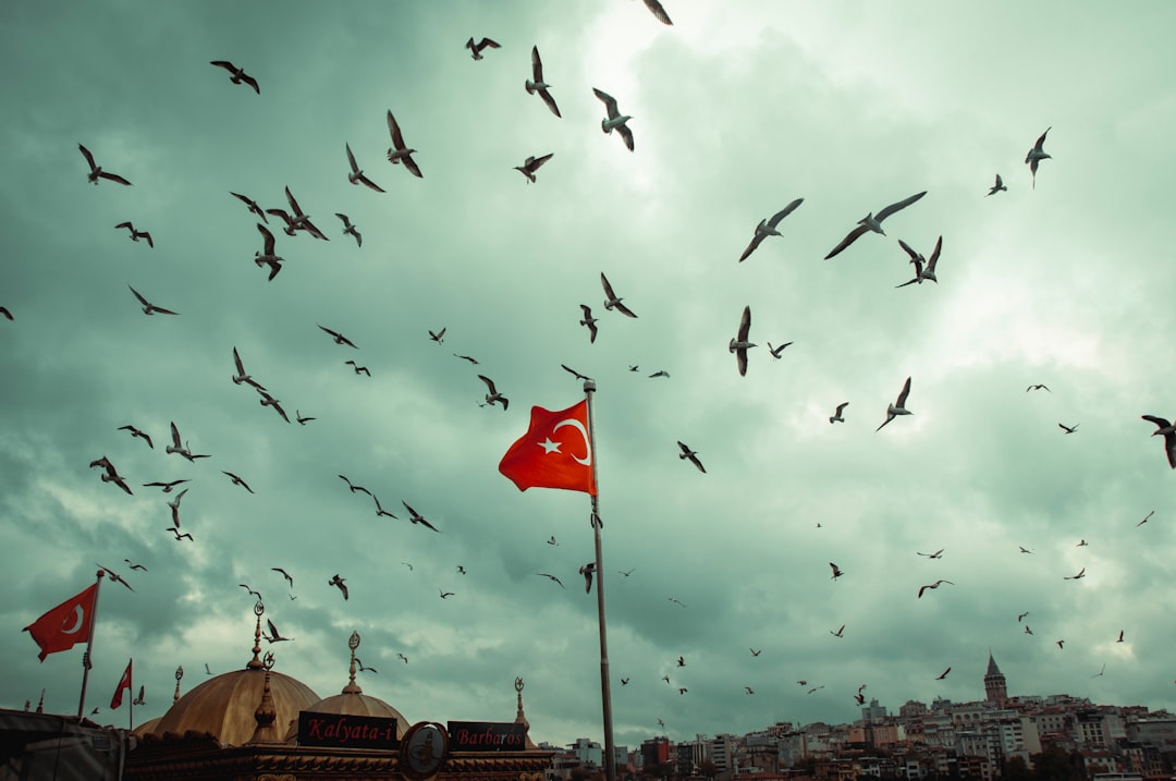 Rüyada Kuş Görmek Ne Anlama Gelir: Özgürlük ve İletişim Sembolleri